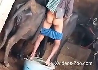 Xvideos Zoo