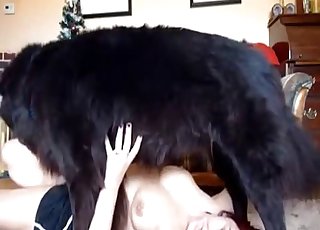 Redhead zoophile collects rear end semen