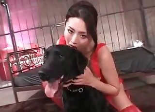 Bitchy Asian chick and black zoophile