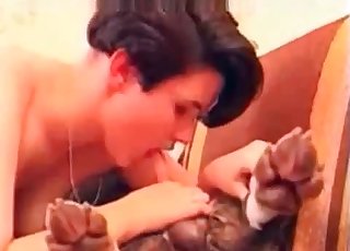Pet
