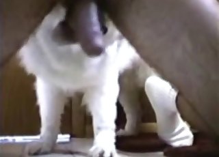 Horny