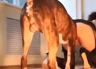 Cucciolo